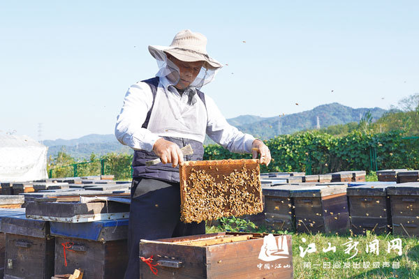 甜蜜事業(yè)